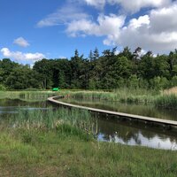 Water rond bos 