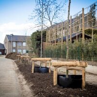 Aanplant nieuwe bomen
