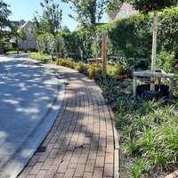 Vergroende wijk Lentepark