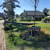 Vergroende wijk