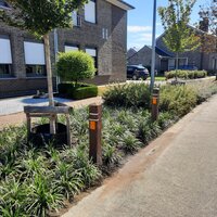 Vergroende wijk Lentepark