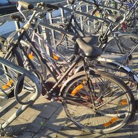 foto van achtergelaten fietsen in een fietsenstalling