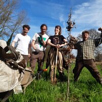 Aanplanting van boom