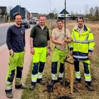 enkele gemeentearbeiders poseren bij aanplant van een houtkant