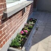 Ontharding via geveltuintjes