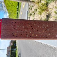 verkeerspaal met gaatjes voor solitaire bijen