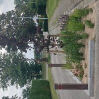 groenstrook om verkeer te vertragen