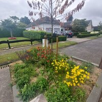 ontharding op de baan