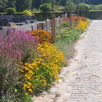 begraafplaats beemden