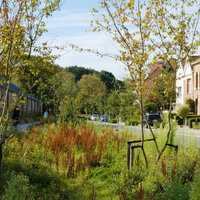 POV door groen met uitzicht op woonwijk