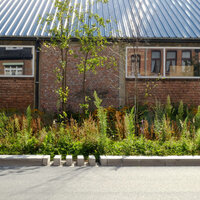 Forthangar achter groen