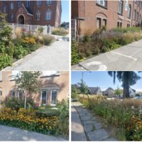 bloemenpracht en andere ontharding