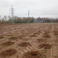foto van site met plantputten klaar voor aanplanting