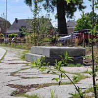 straat met keien waartussen water kan weglopen