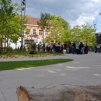 Belevingspark Zuidkaai