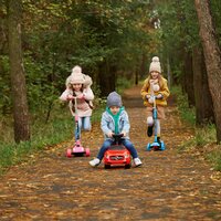 2 kinderen op een stek, 1 op een loopwagentje
