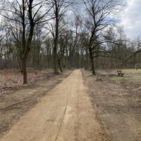 Onverharde weg in bos