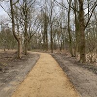 weg in bos
