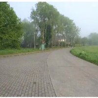 Bomen aan verhard kruispunt Senthout Duffel