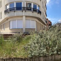Gebouw met daarvoor een duintuin