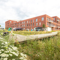 Grasperk met op achtergrond gebouw. 
