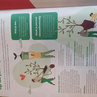 Pagina uit tijdschrift die dit initiatief aankondigt 