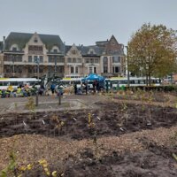 Tiny forest op het gemeenteplein van Mortsel
