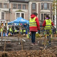 Kinderen die in de tiny forest staan