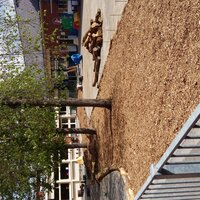 Speeplaats met bomen
