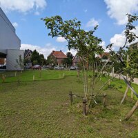 Fruitbomen en daarnaast een gebouw