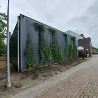 Grijs gebouw met klimop