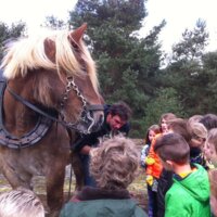 Kinderen bij trekpaard