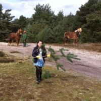 Jongeren in actie bij ecologisch bosbeheer