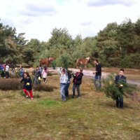 Jongeren in actie bij ecologisch bosbeheer