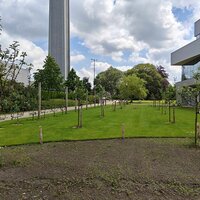 Afbeelding van de pluktuin met bomen en daarnaast een gebouw