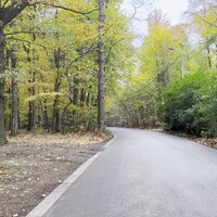Weg langs het Kluisbos