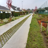 Afbeelding van de heraanleg met een verharde weg omringd door weelderig groen langs en tussen de paden.