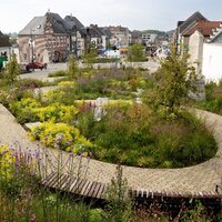 heraangelegd marktplein met groenaanplantingen en wandelpad