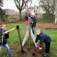 Kinderen slaan met een voorhamer palen in de grond. 