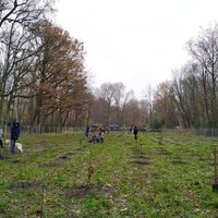 Fot van een groene plek waar mensen bomen planten. 