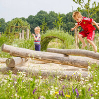 foto van natuurlijk aangelegd park