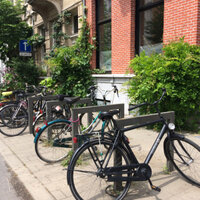 groenaanplantingen voor gevels
