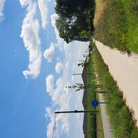 Foto van groene berm naast fiestpad.