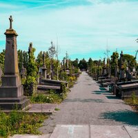 foto van pad op de begraafplaats met zerken in groene omgevingg
