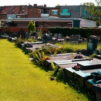 Graven met veel groen 