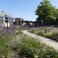 wandelpaden in de prairietuin