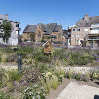 prairietuin met insectenhotel